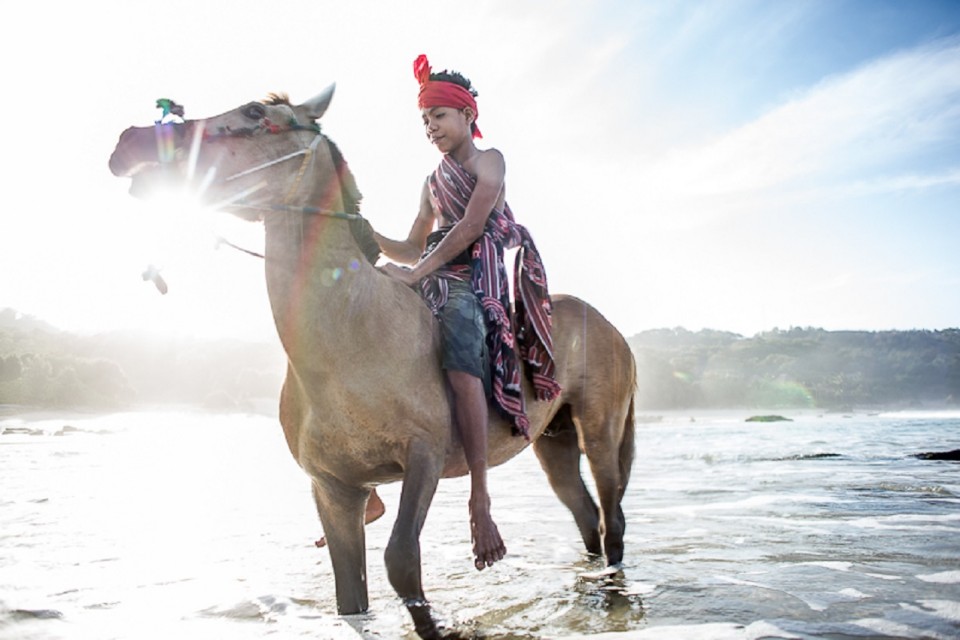 Nihiwatu-Horse-Icon