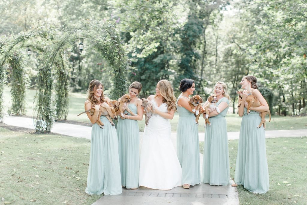 This Bridal Party Carried Rescue Pups Instead of Bouquets on The Good Beginning