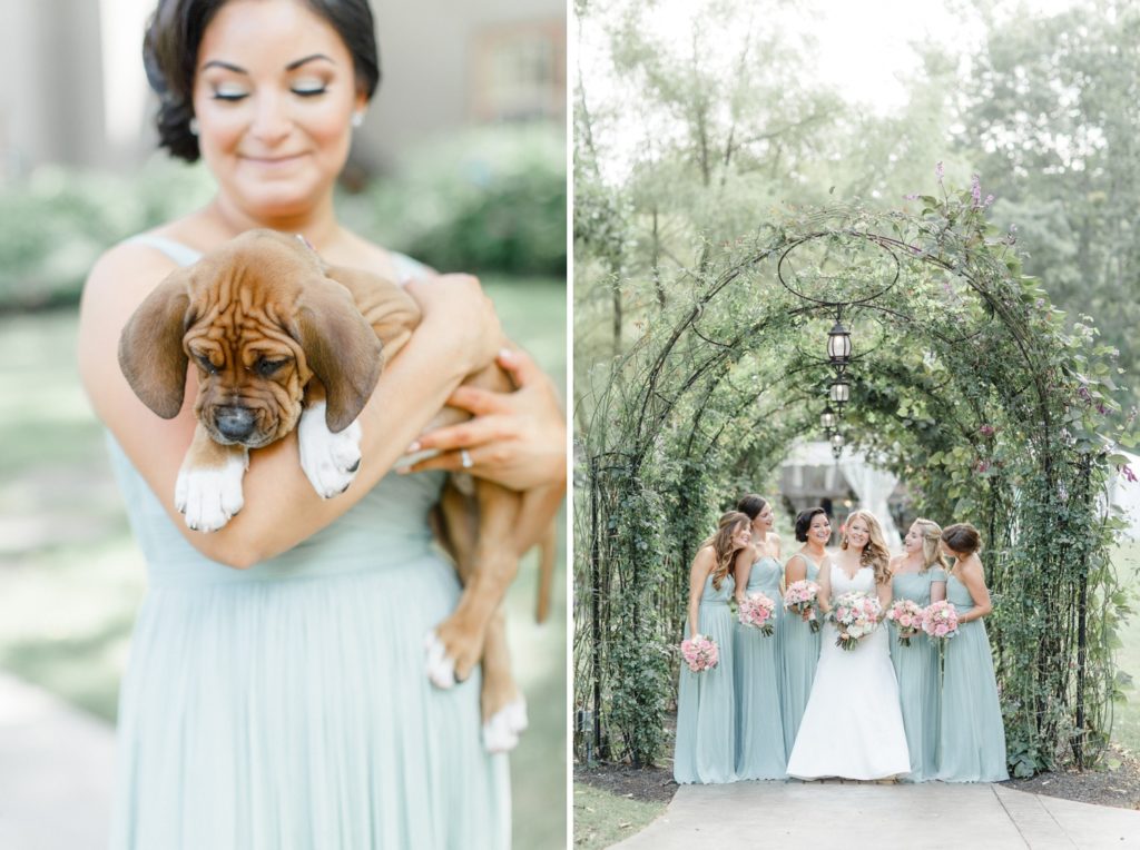 This Bridal Party Carried Rescue Pups Instead of Bouquets on The Good Beginning