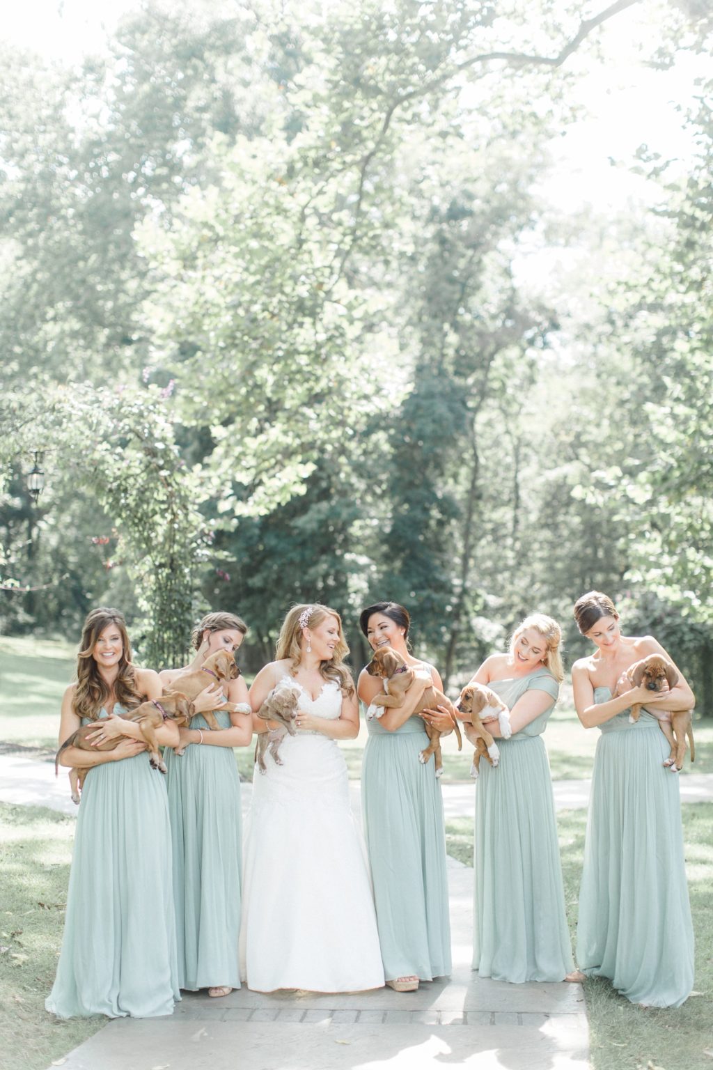 This Bridal Party Carried Rescue Pups Instead of Bouquets on The Good Beginning