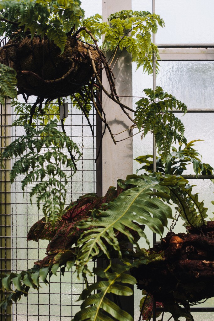 Sustainable City Guide- Berlin on The Good Beginning 