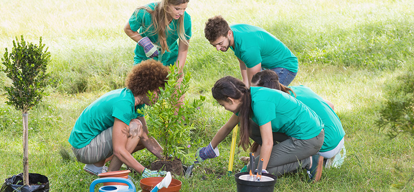 The Sierra Club Foundation The Good Beginning