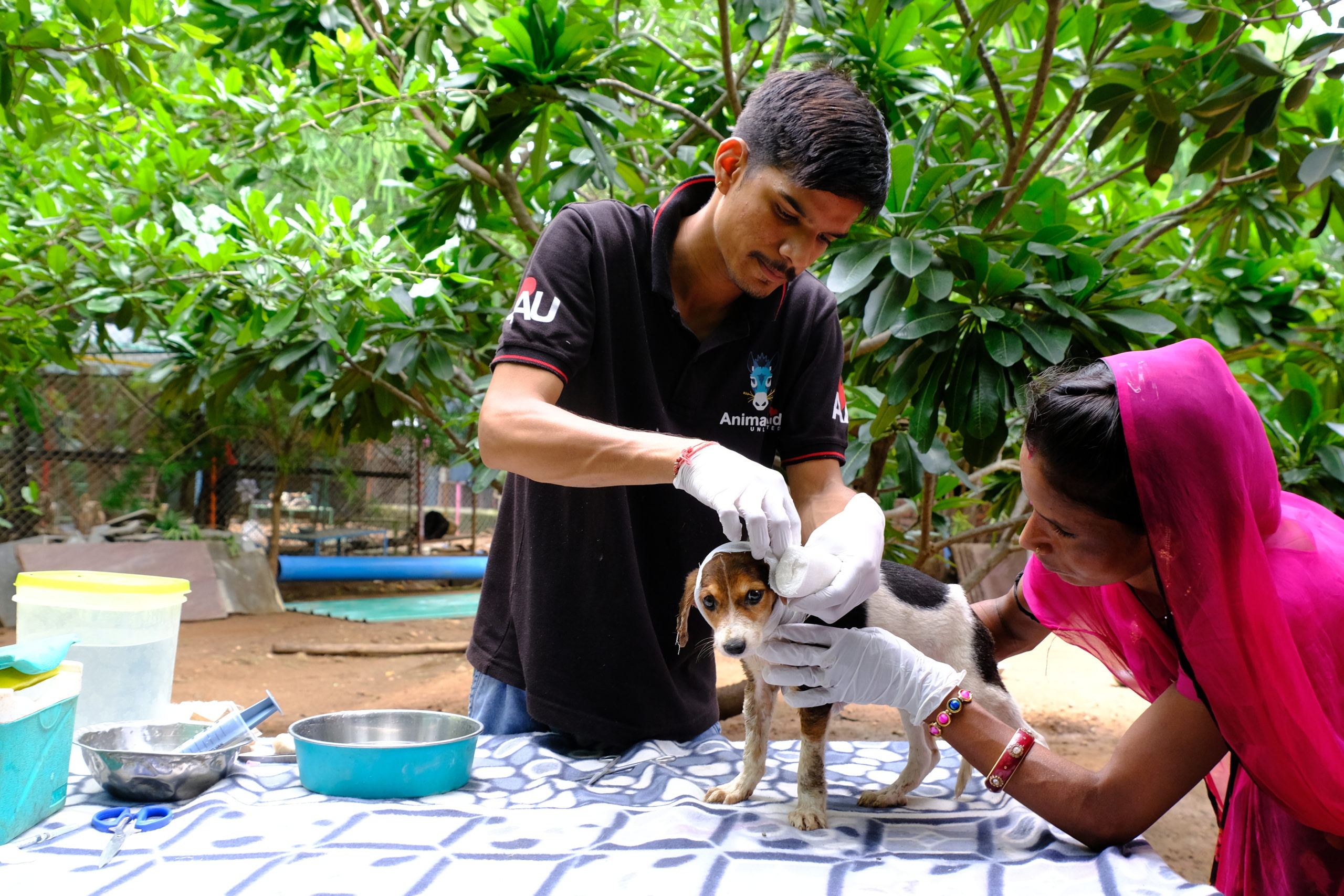 Animal Aid Unlimited The Good Beginning